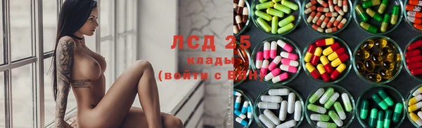 ПСИЛОЦИБИНОВЫЕ ГРИБЫ Вязники