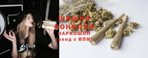 ПСИЛОЦИБИНОВЫЕ ГРИБЫ Вязники