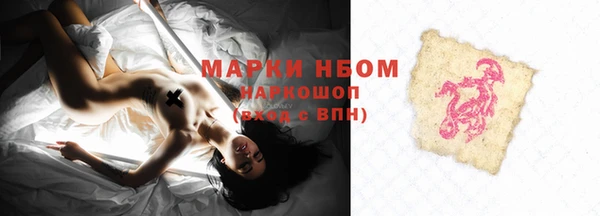 ПСИЛОЦИБИНОВЫЕ ГРИБЫ Вязники