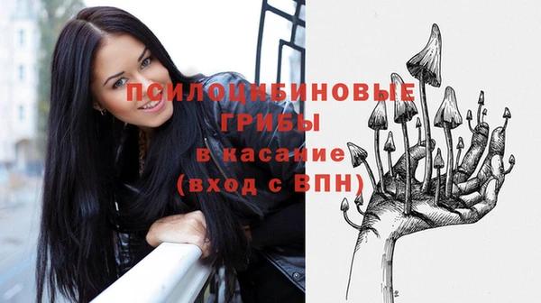 ПСИЛОЦИБИНОВЫЕ ГРИБЫ Вязники