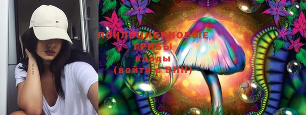 ПСИЛОЦИБИНОВЫЕ ГРИБЫ Вязники