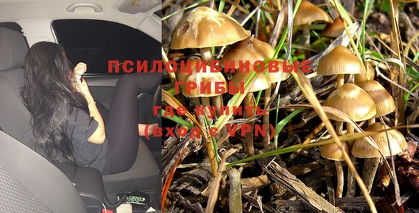 MESCALINE Вяземский